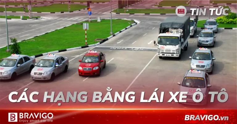 các hạng bằng lái xe hiện nay Việt Nam