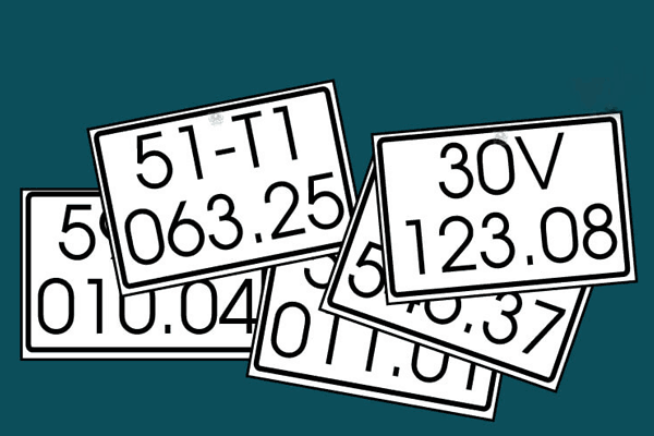 thủ tục cấp biển số định danh