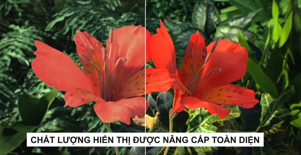 Màn hình 2k sắc nét