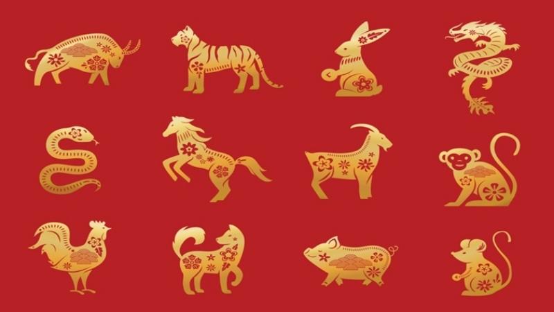 Năm Tuổi Mua Xe Được Không? Điều Cần Cân Nhắc Khi Mua Xe Năm Tuổi 2 Năm tuổi có nên mua xe