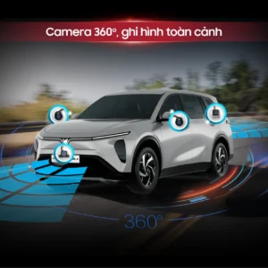 Duo Max Limo Green 10 11zon 1